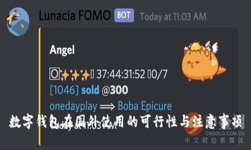 数字钱包在国外使用的可行性与注意事项