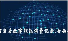 如何查看数字钱包消费记