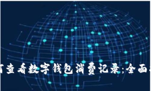 如何查看数字钱包消费记录：全面指导