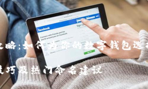 数字银行钱包取名攻略：如何为你的数字钱包选择一个吸引人的名字

数字银行钱包取名技巧及热门命名建议