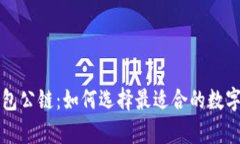 全面解析TP钱包公链：如何