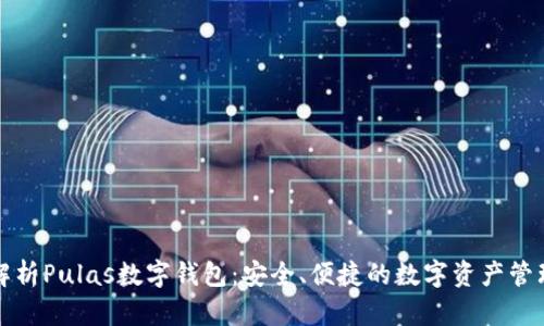 全面解析Pulas数字钱包：安全、便捷的数字资产管理方案