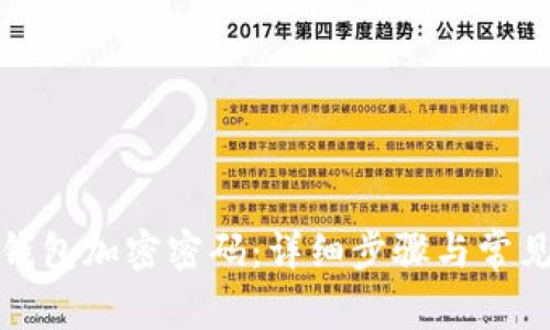 如何解除钱包加密密码：详细步骤与常见问题解答